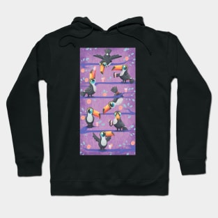 Toco Toucan Hoodie